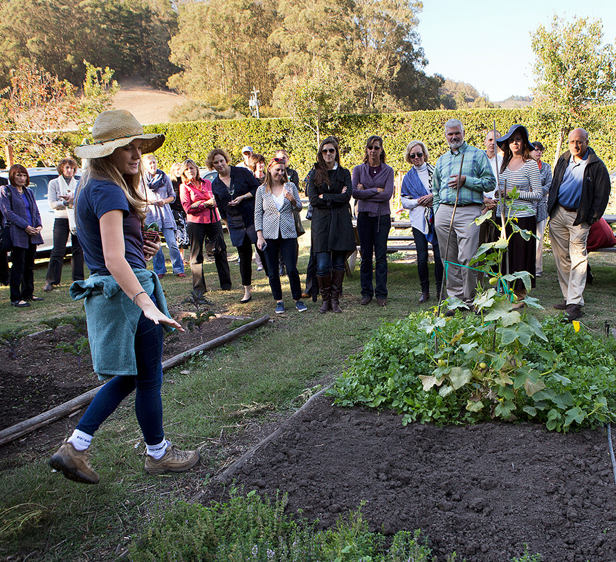 A woman wearing a sun hat shows a group of people a vegetable patch